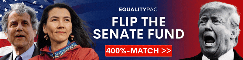 Flip the Senate Fund: 400%-MATCH Active
