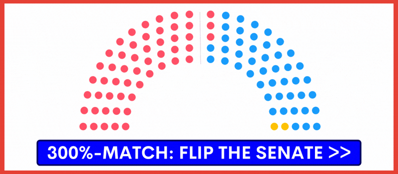 300%-Match: Donate to Equality PAC's 2026 Senate Turnout Teams